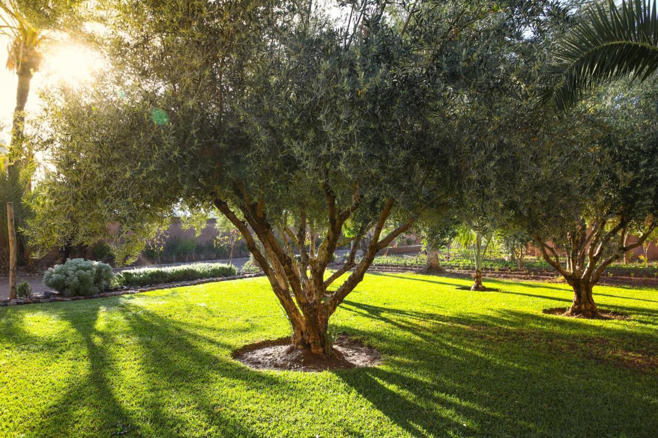 Villa 55 Marrakech Марракеш Экстерьер фото