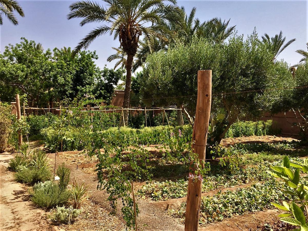 Villa 55 Marrakech Марракеш Экстерьер фото